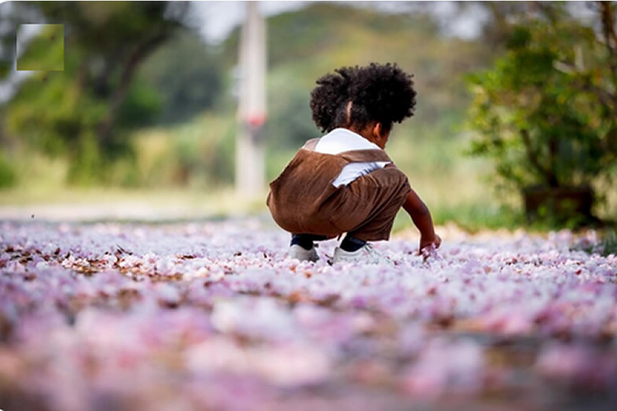 But What Joy for Those Who Take Refuge in Him
